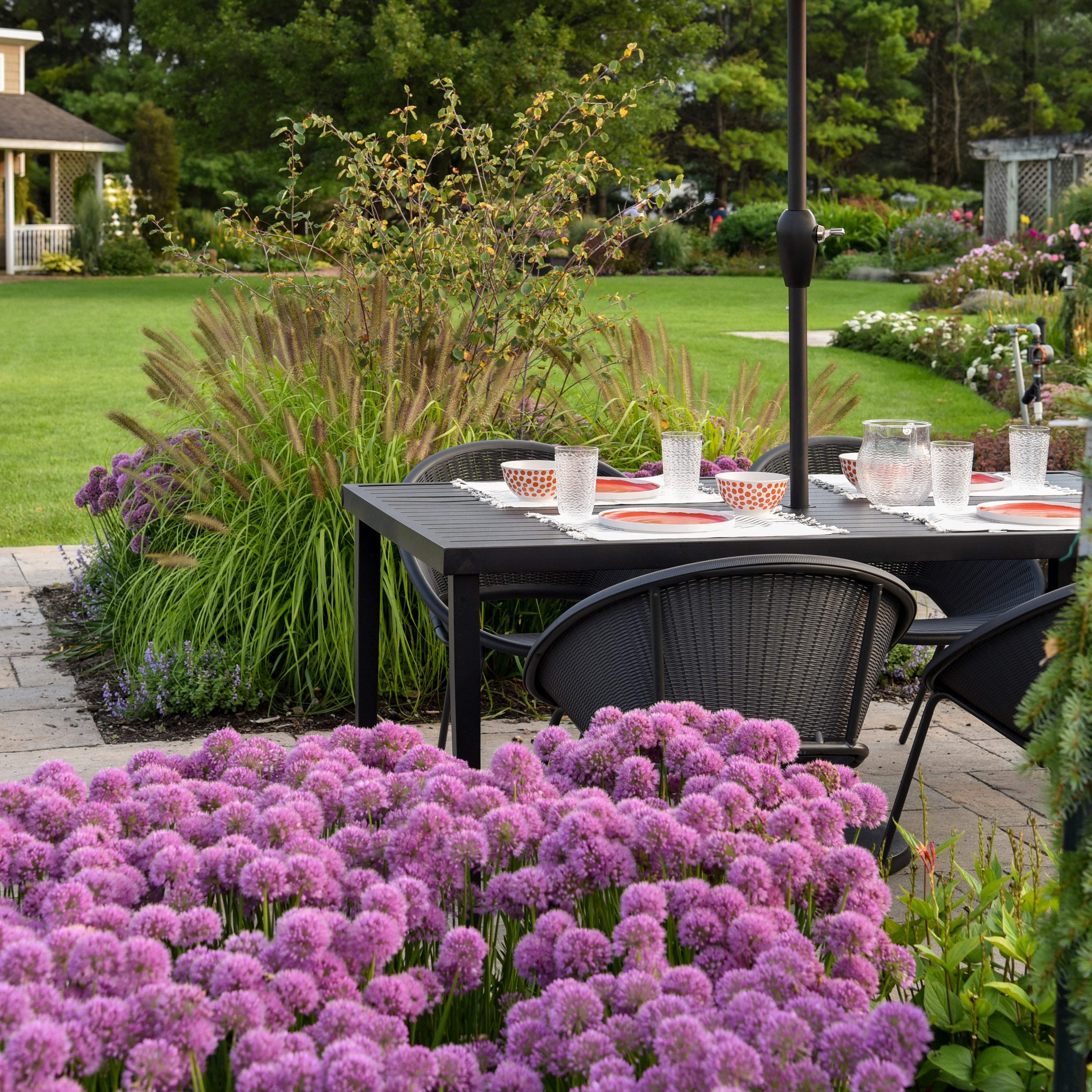 Allium_Serendipity_PP32023CPBR