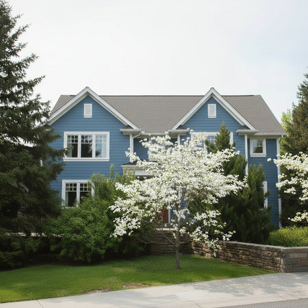 Appalachian Spring Dogwood in front of home