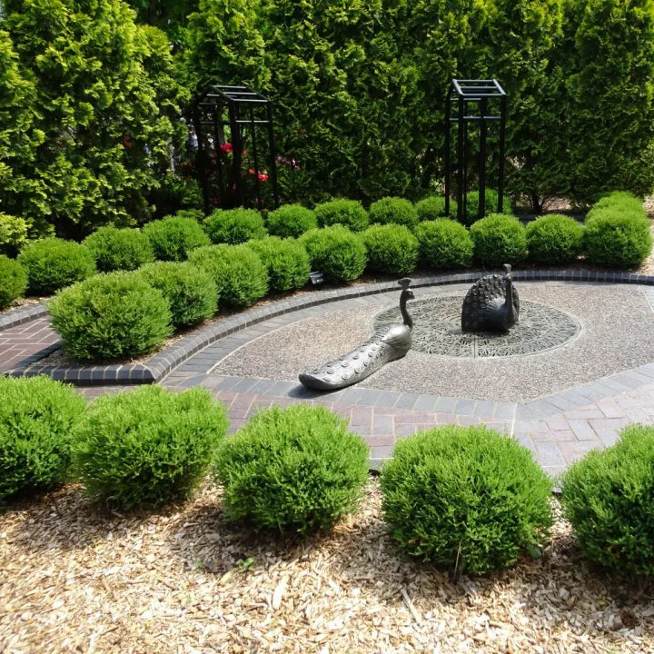 Garden with neatly trimmed bushes and a stone sculpture in the center.