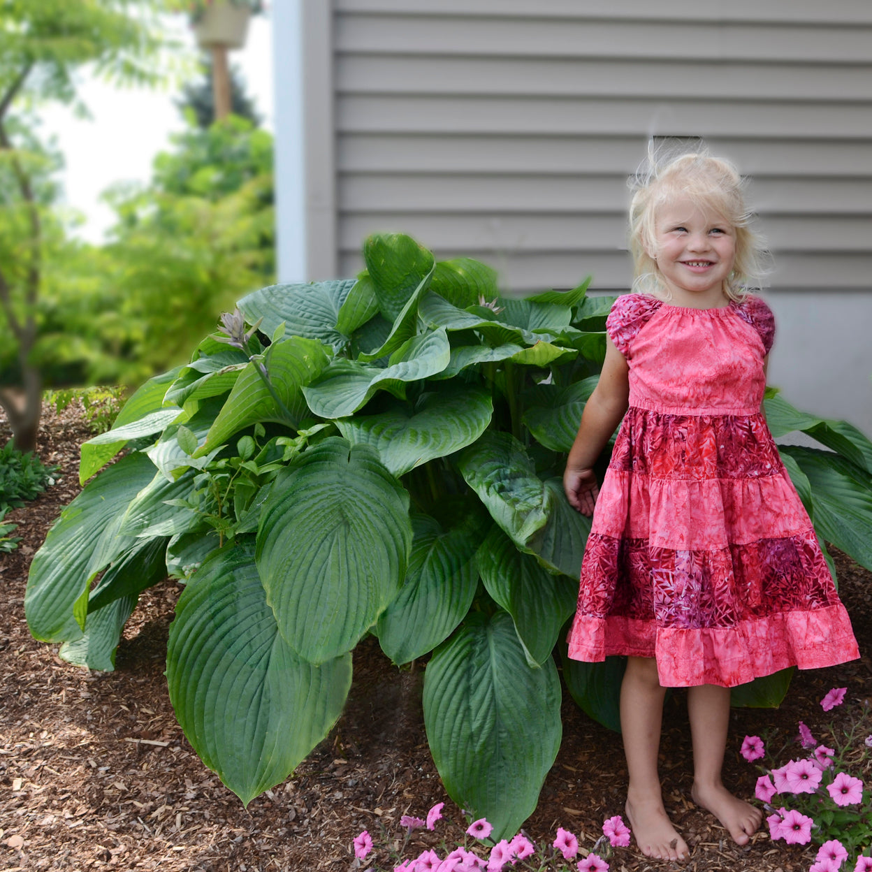 Empress Wu Hosta