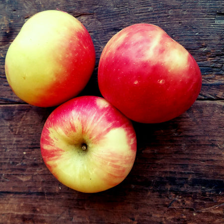 honey crisp apple fruit