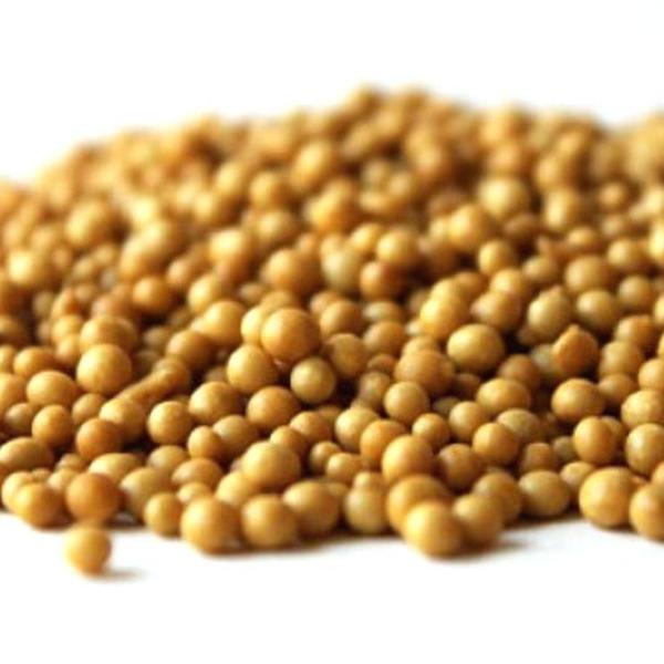 Slow Release Fertilizer